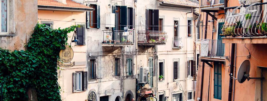 Desierto de Baja California Sur — pitahayas en floración, vista aérea