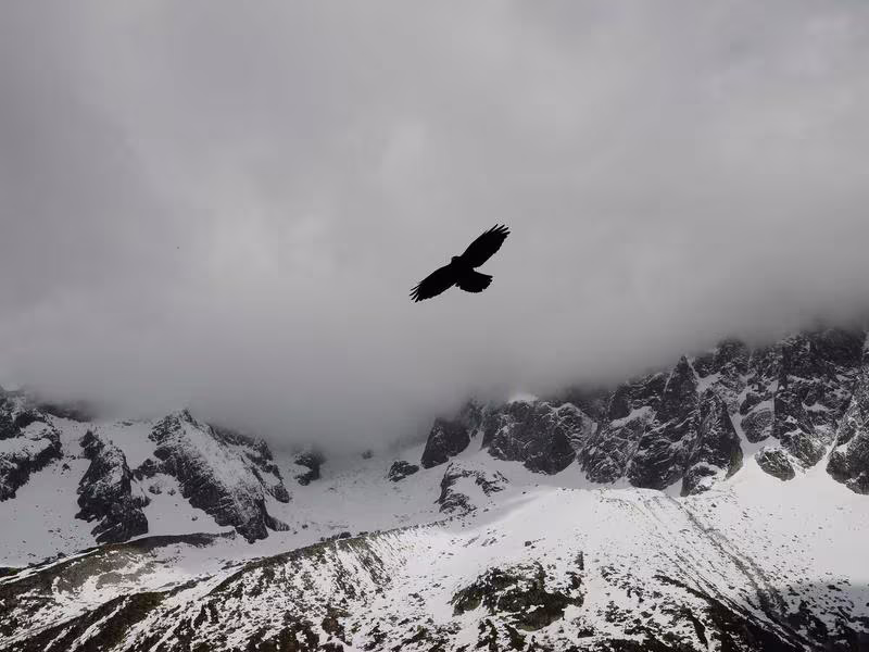 Textiles zapotecas Oaxaca — colores y tradición