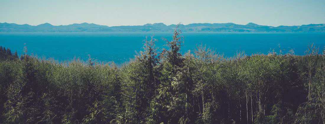 Oaxaca — Catedral y Zócalo bañados por la hora dorada, luz cálida del sur de México