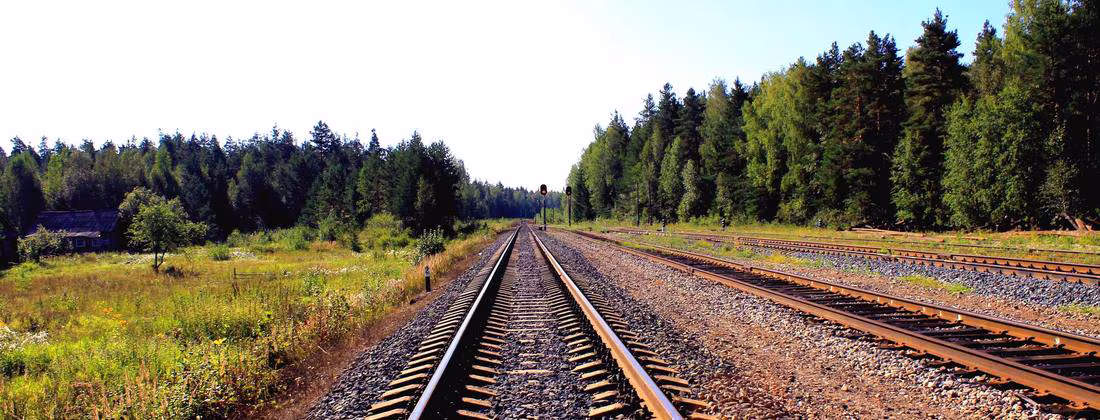 Modelos Turbo Racing en pista — comparativa de escala 1:76